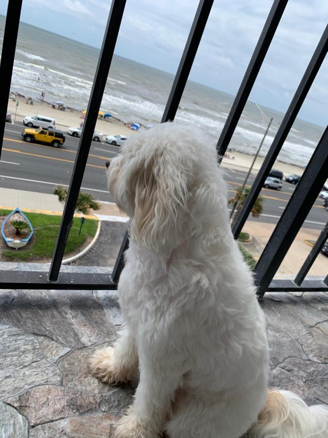 Amazing And Spectacular Ocean And Beach Views In Galveston Esterno foto